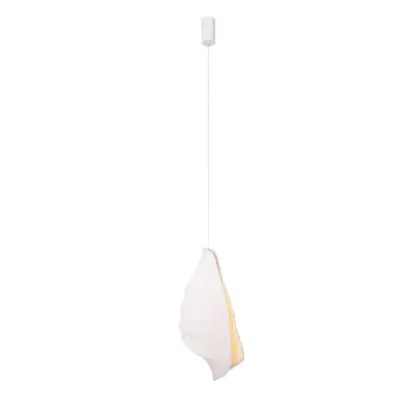 Concha
